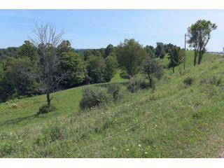 Tract 3 - Timberland & Farmland in Noble County, OH - LAND AUCTION - 12,200+/- ACRES OFFERED IN 65 TRACTS IN NOBLE COUNTY, OHIO